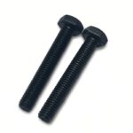 Blackened Screws from Dacromet Black Screws